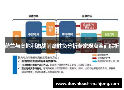 荷兰与奥地利激战前瞻胜负分析专家观点全面解析